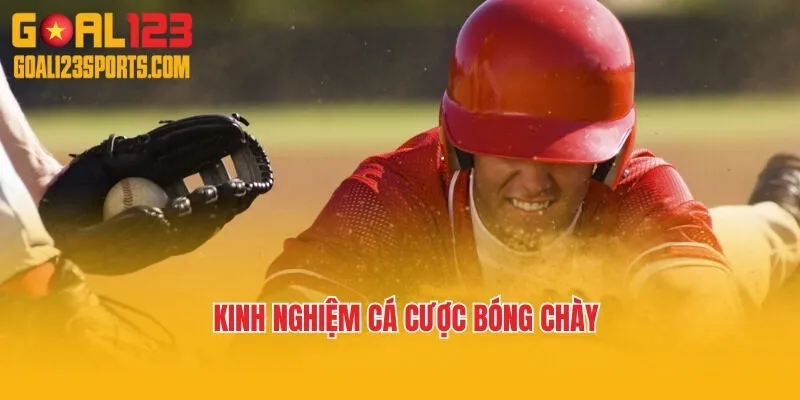 Kinh nghiệm cá cược bóng chày