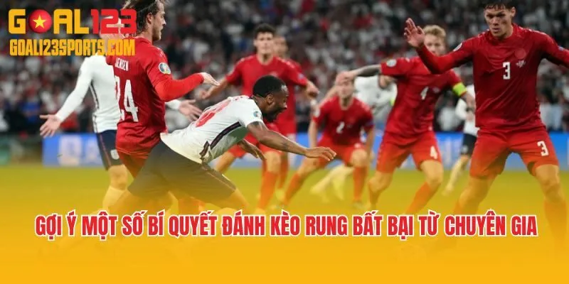 Gợi ý một số bí quyết đánh kèo rung bất bại từ chuyên gia